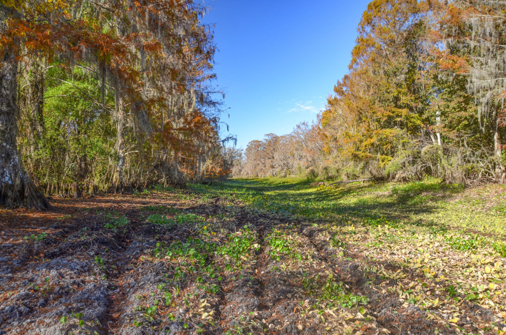 Clogged Paynes Landing Run