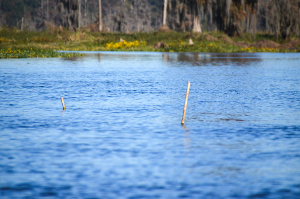 Markers at Indian Bluff Spring