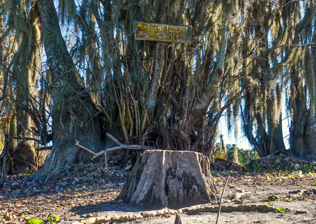 Mussent Touchit Bayou-Sign