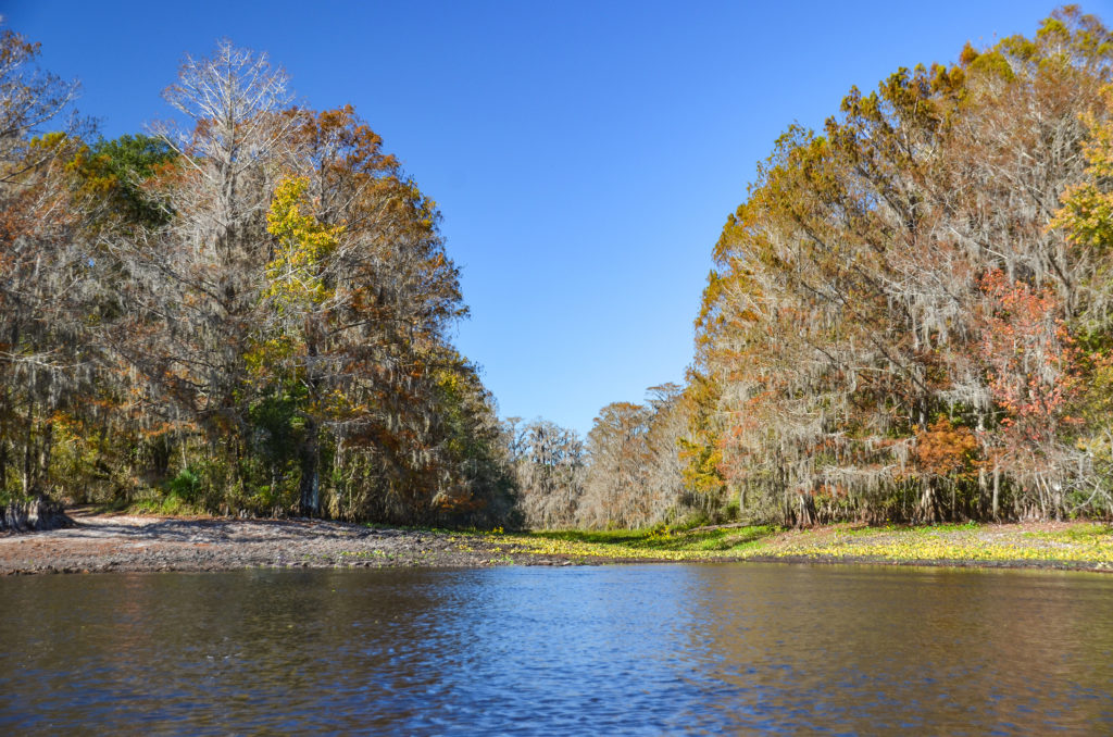 Paynes Landing Launch and Run