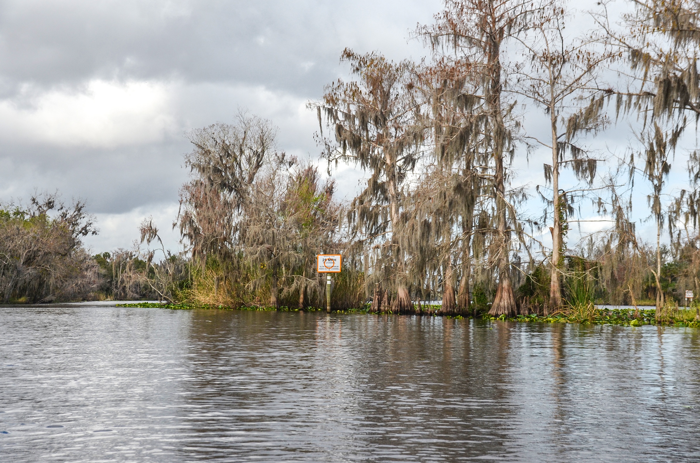 Florida Paddle Notes Lower Wekiva River