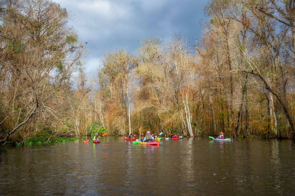 Balmy Winter Day on the Ocklawaha River