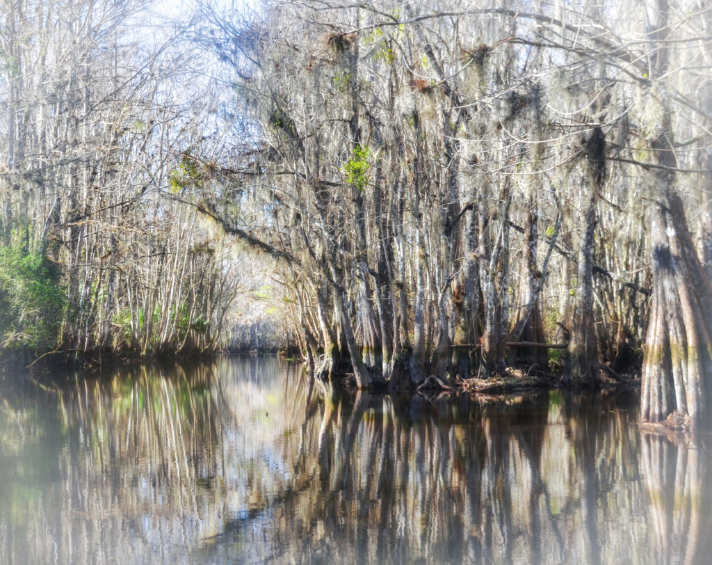 Cannon Spring Canal