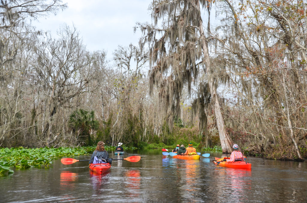 Drifting on the Wekiva River