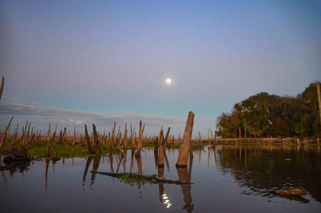 Full Moon at Blue Spring