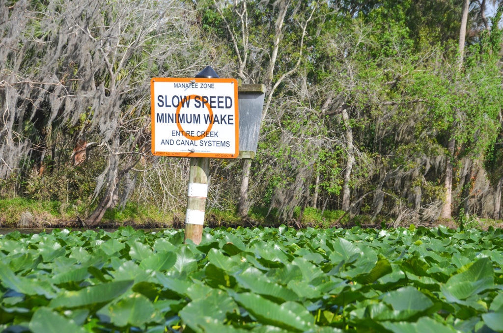 Manatee Zone