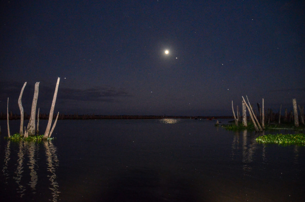 Moonlight Sky on the Ocklawaha