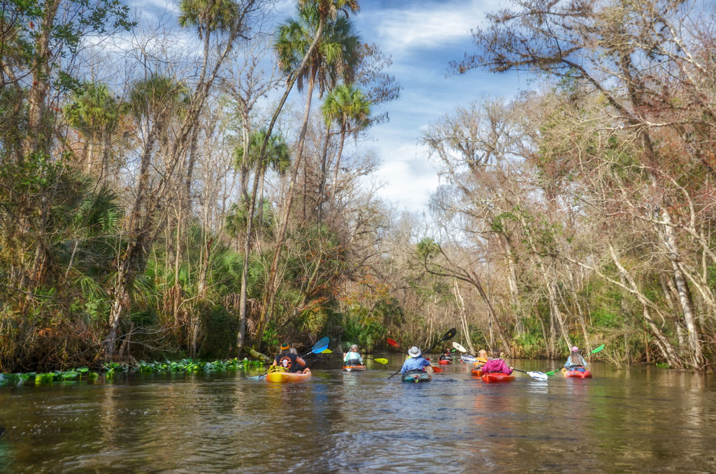 Ocklawaha River - Early Winter