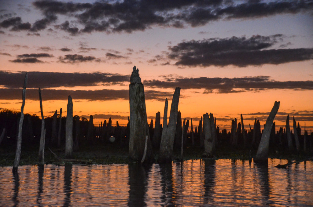 An Ocklawaha Sunset Skyline