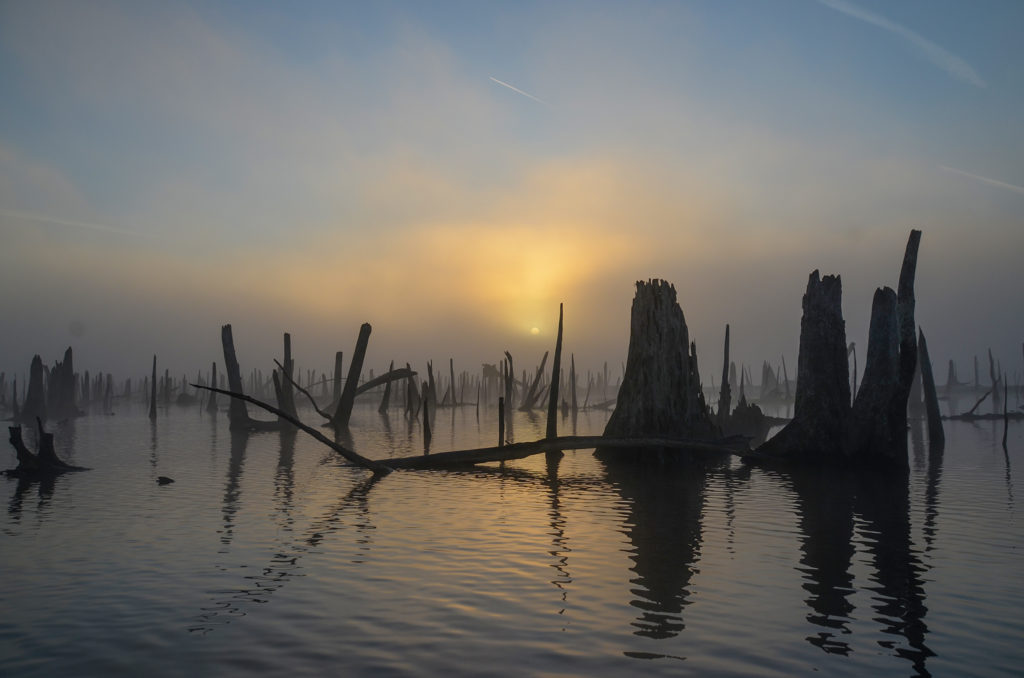 Ocklawaha Sunrise