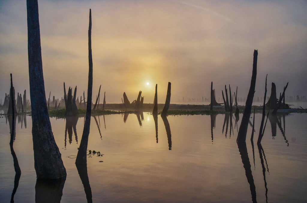 Sunrise - Ocklawaha River