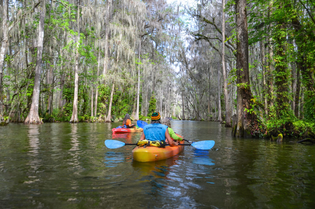 Beautiful Dora Canal