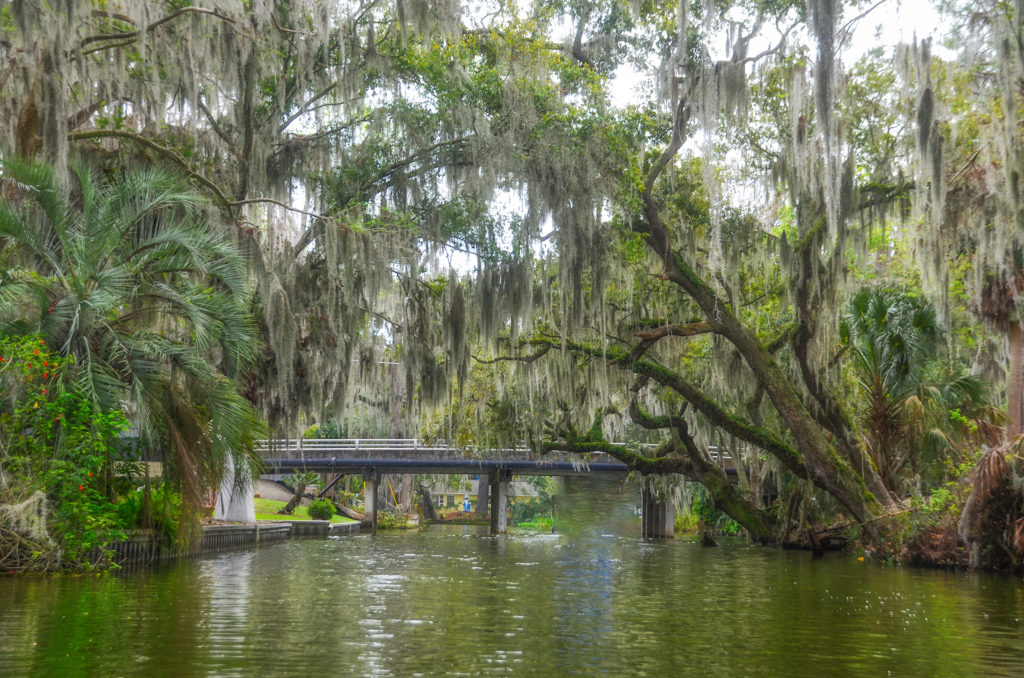 Welcome to Florida Paddle Notes - The Dora Canal