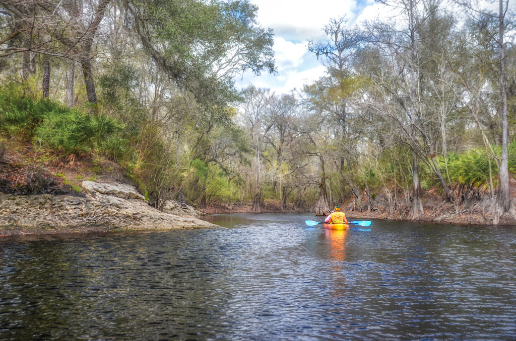 Entering Olustee Creek