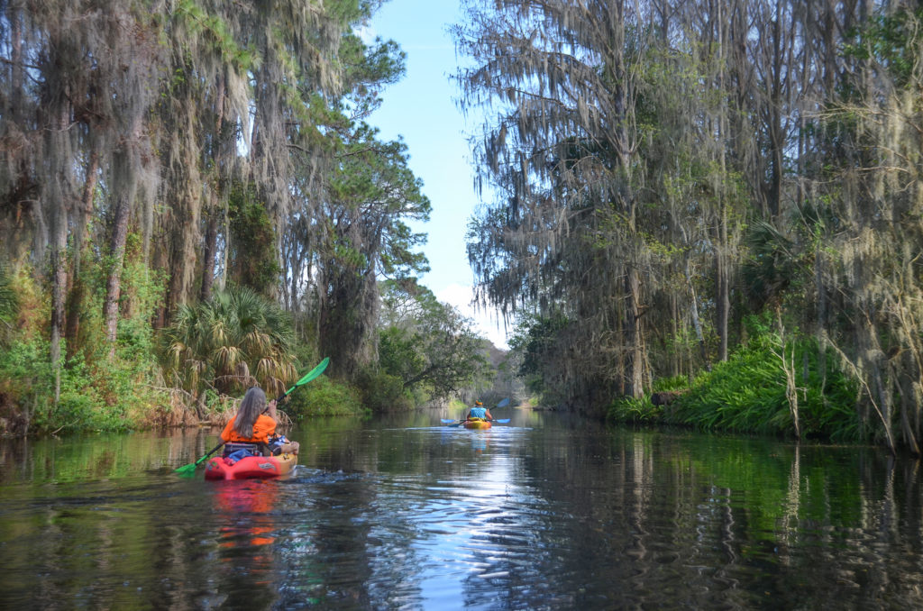 Side Canal - Dora Canal