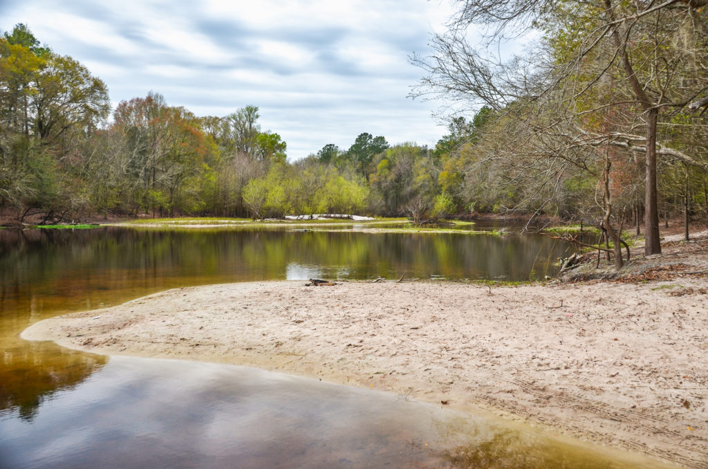 Upper Santa Fe River Sandbar