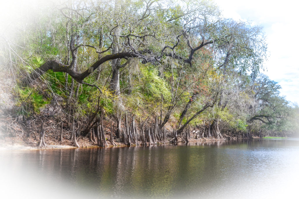 Upper Santa Fe river