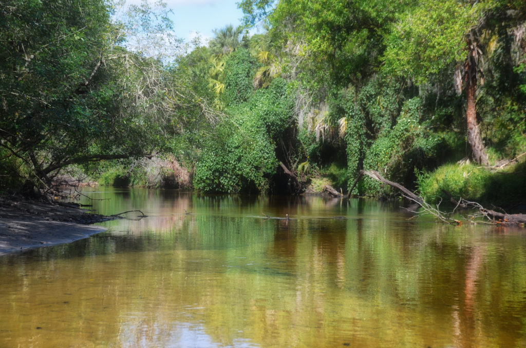 A Shallow Little Manatee River