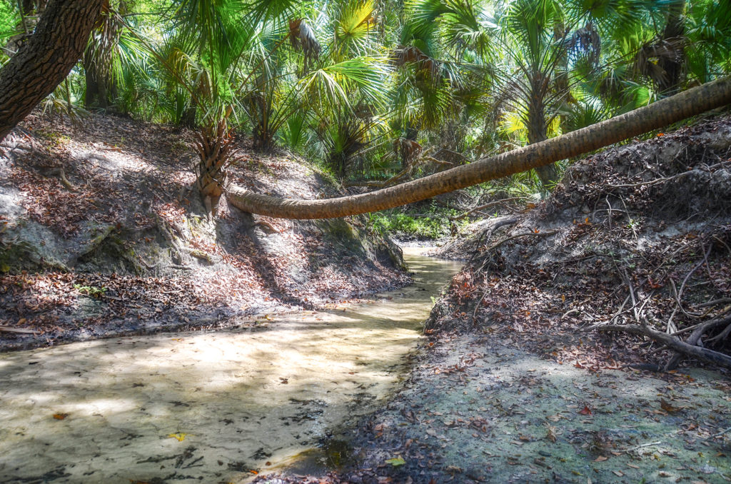 Clear run into the Alafia River