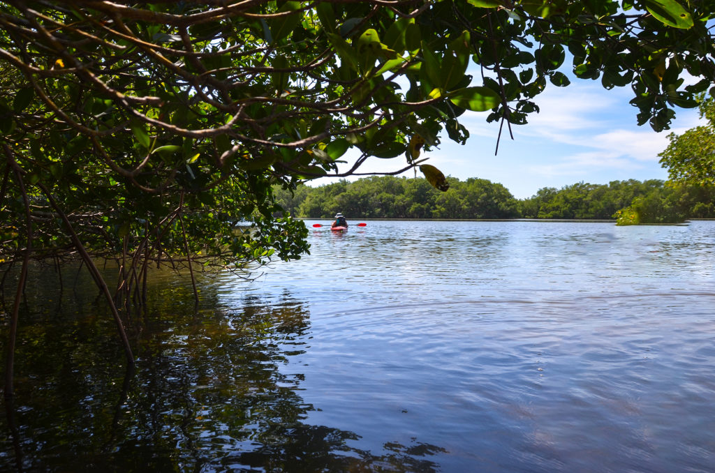 Paddler on Cockroach Bay