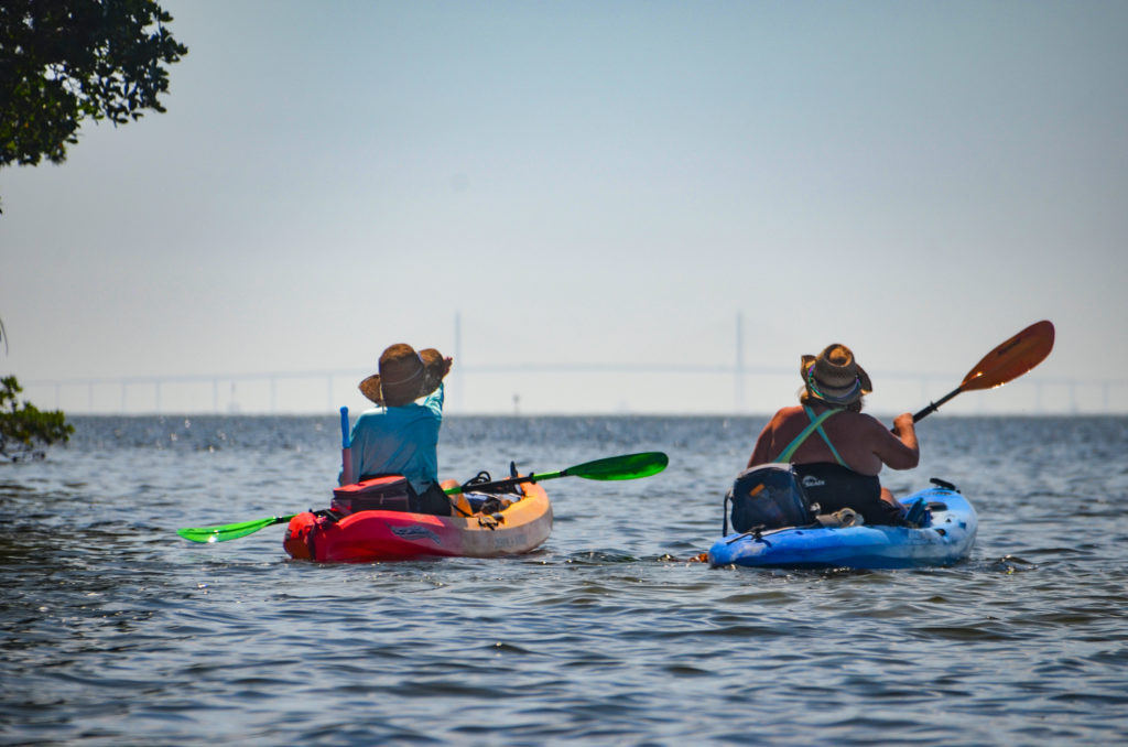 Welcome to Florida Paddle Notes - Cockroach Bay