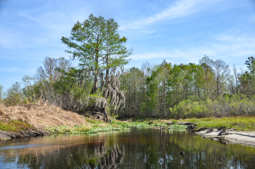 Enter Sweetwater Creek