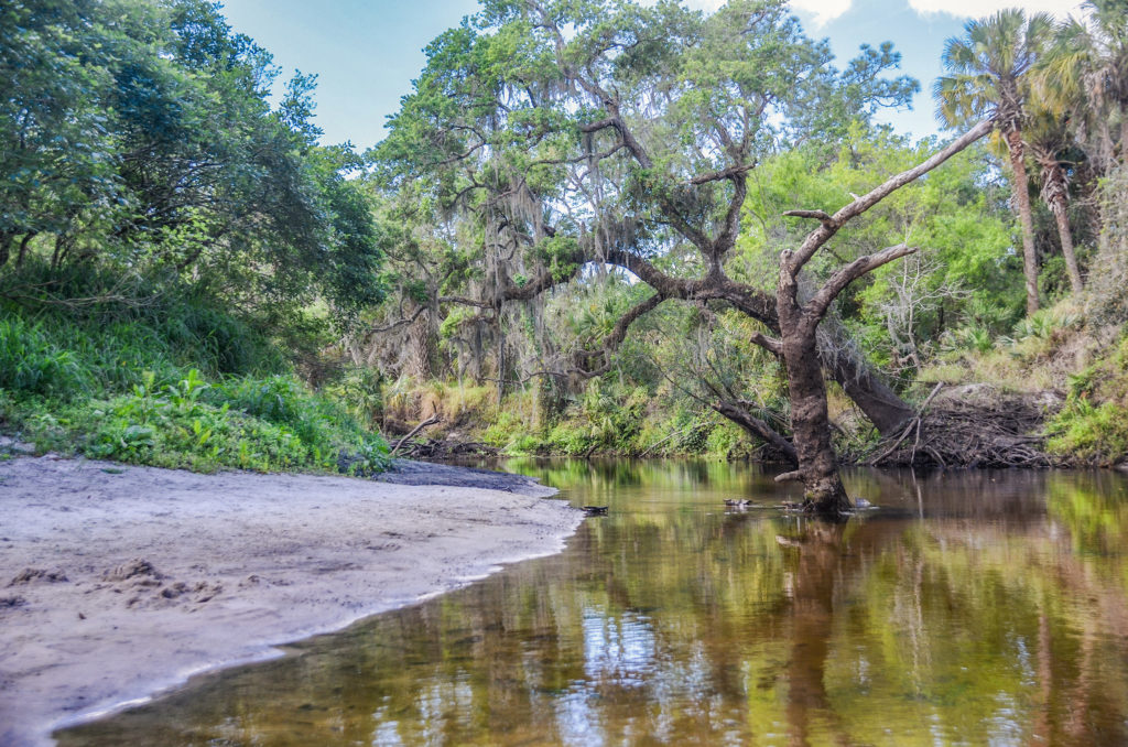 Little Manatee River Beach