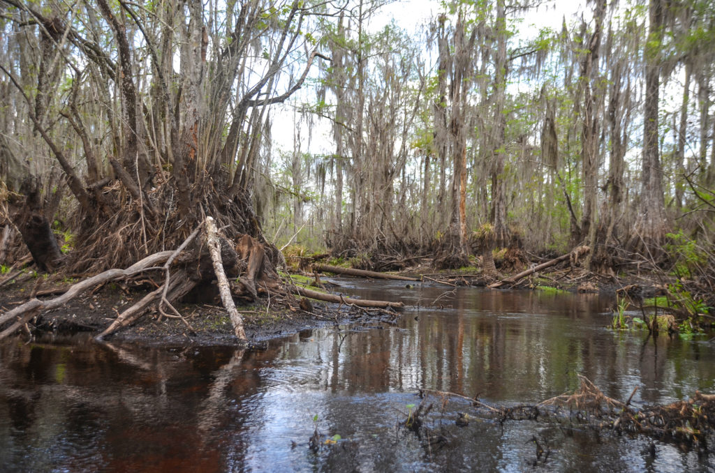 Navigable end to Sweetwater Creek