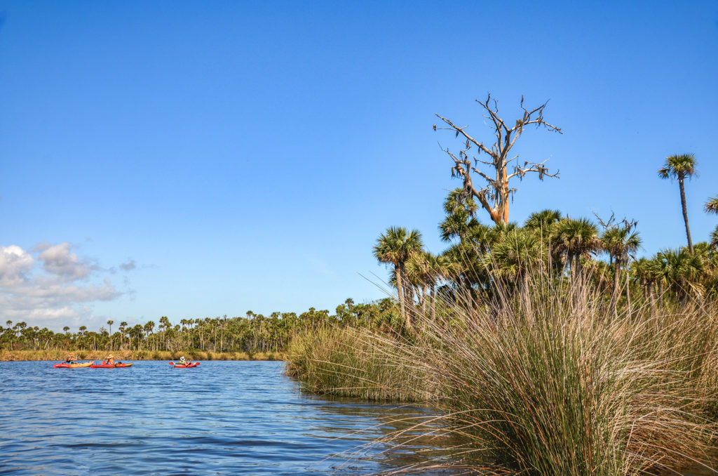 Paddling Bulow Creek