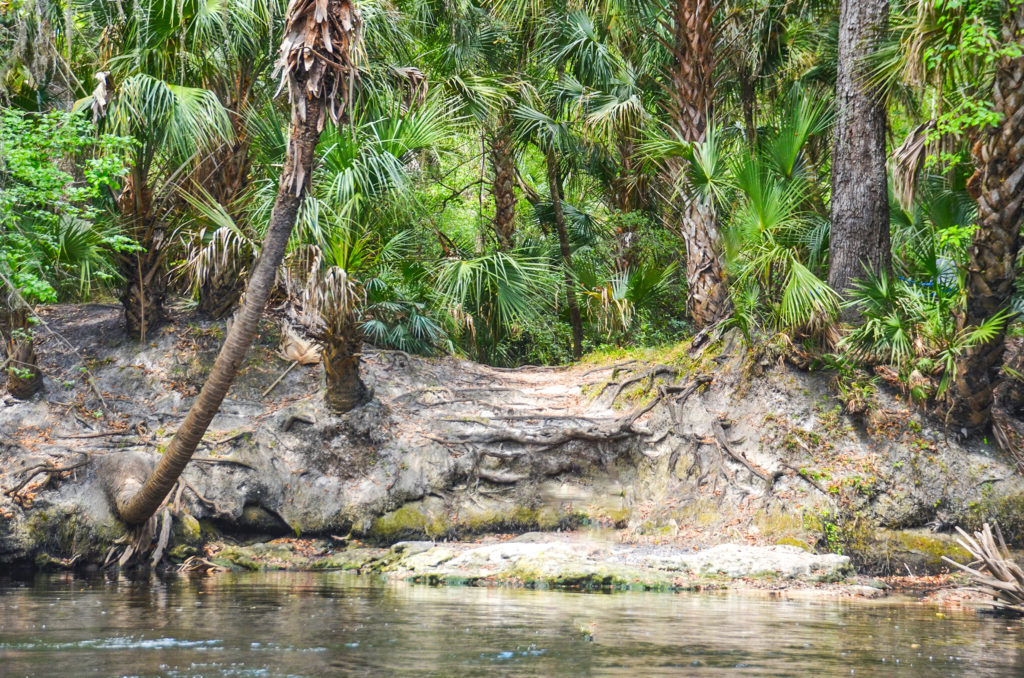 Rest Stop on the Alafia River