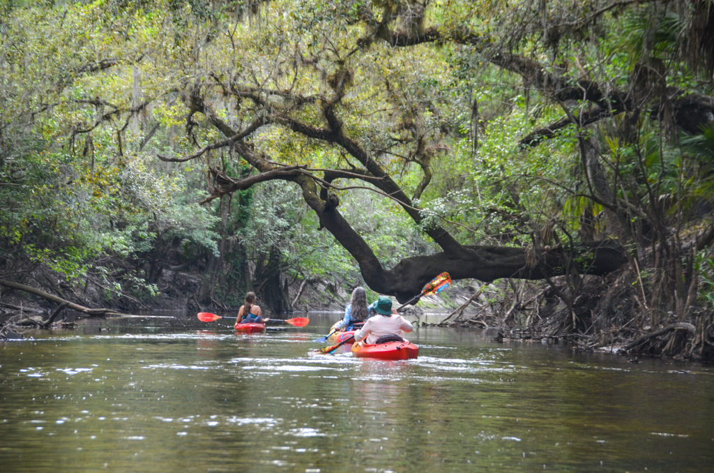 The Scenic Alafia River