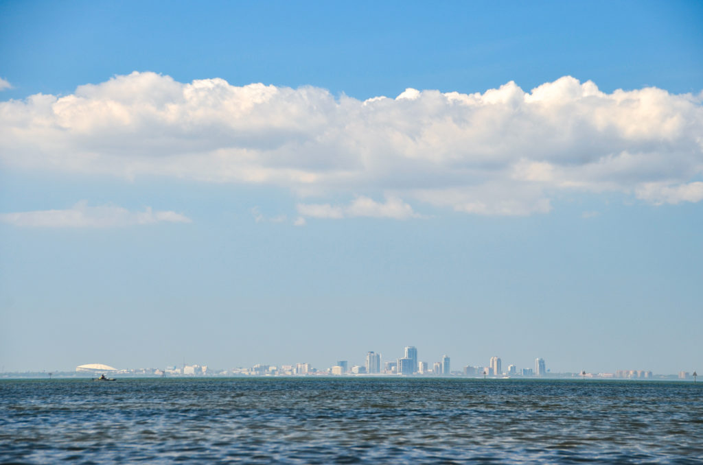 St. Pete from Cockroach Bay