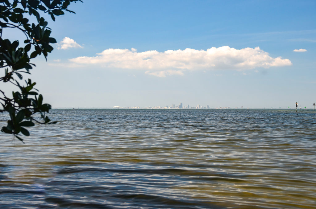 St. Pete viewed from Cockroach Bay