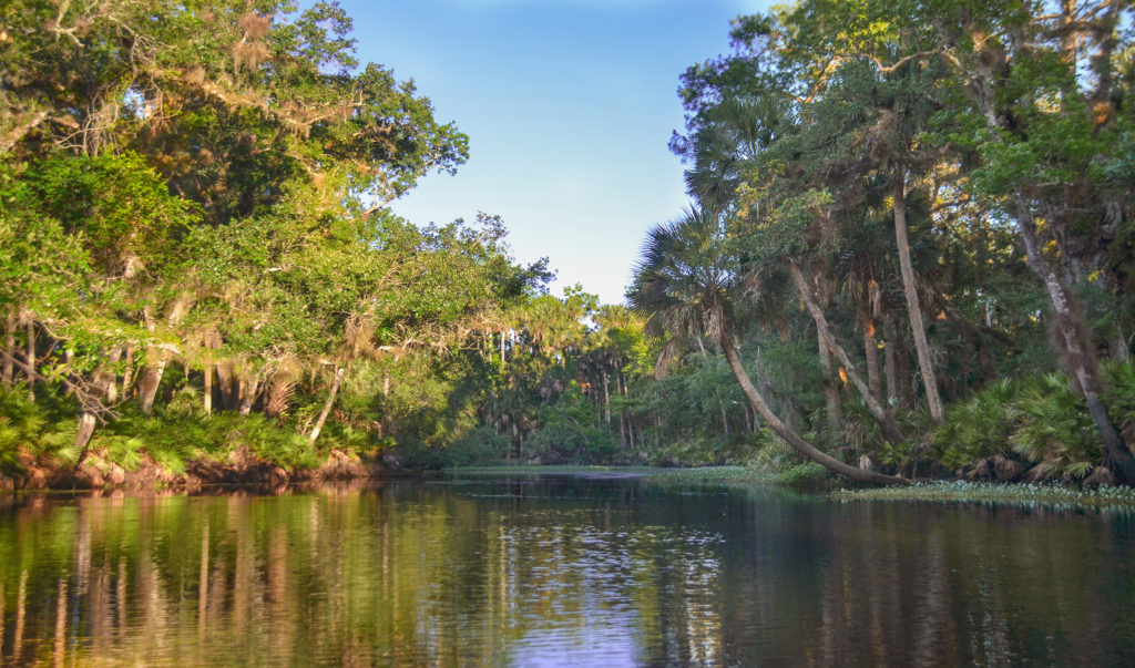 Early Morning - Haw Creek