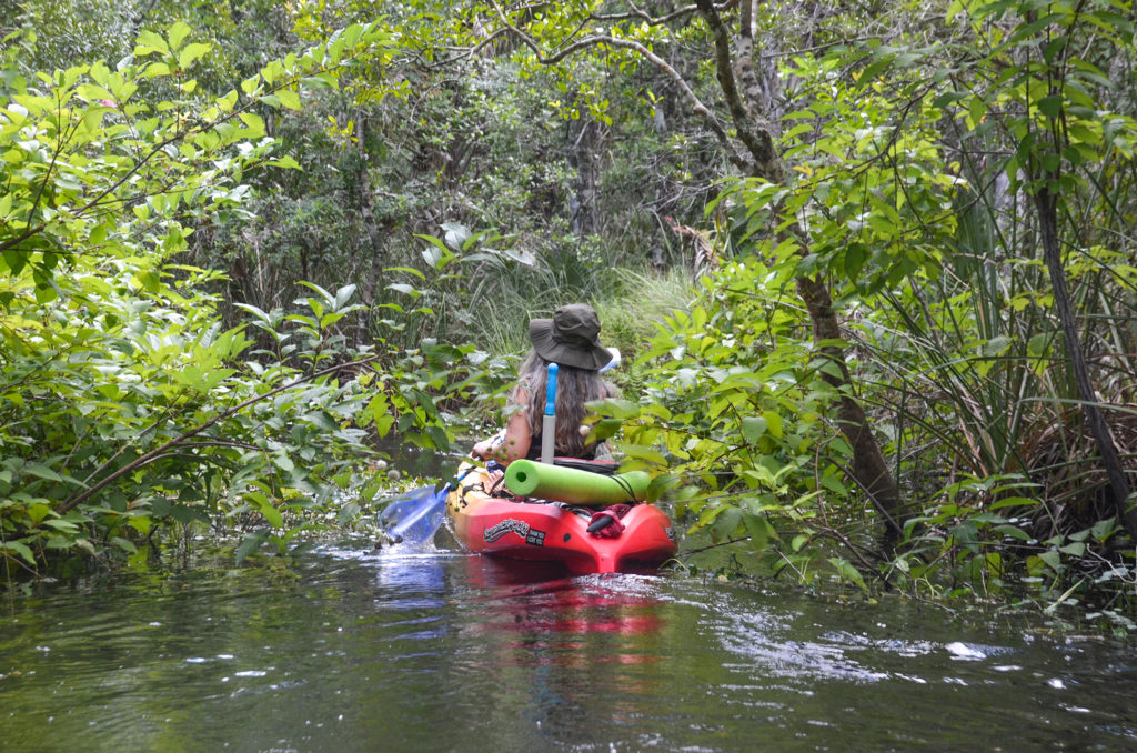 Exploring No Name Creek