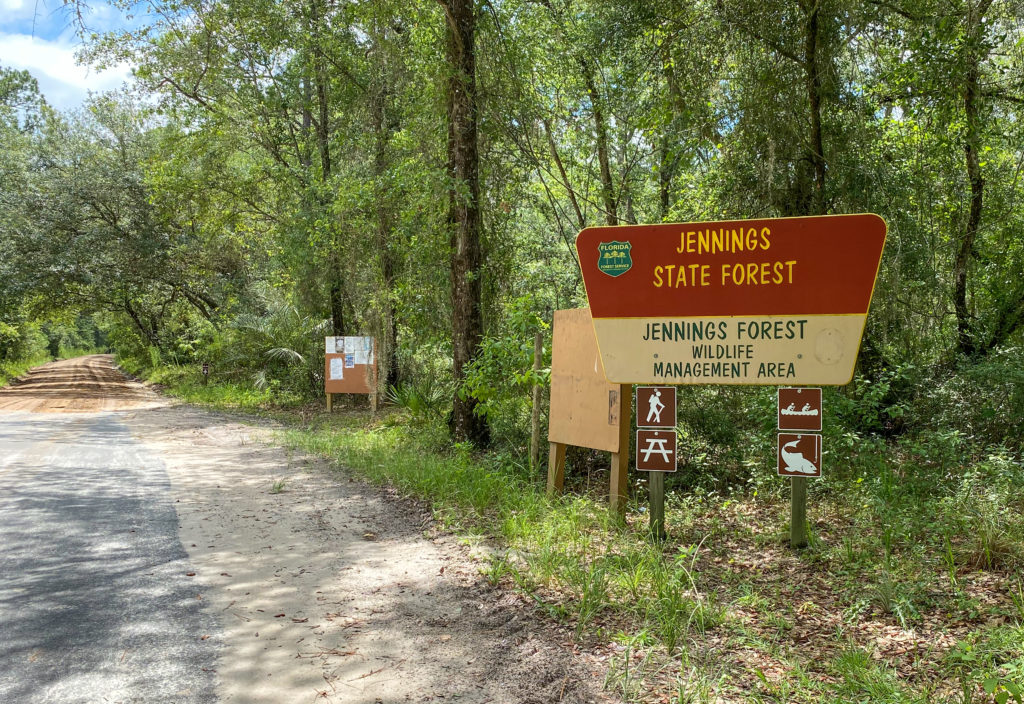 Jennings Forest WMA