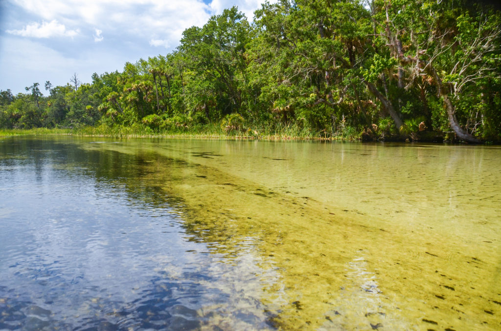 Juniper Shallows