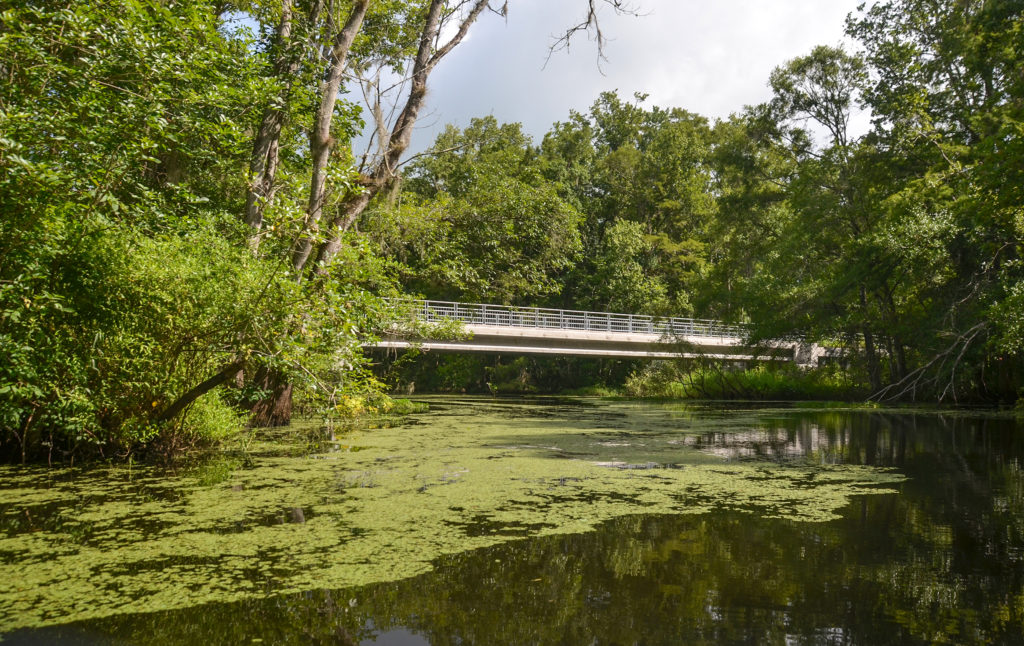 Palatka to St. Augustine Trail