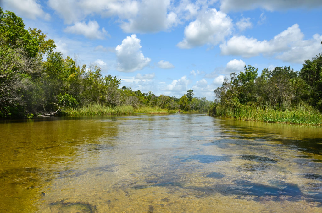 Shallows - Lower Juniper Creek