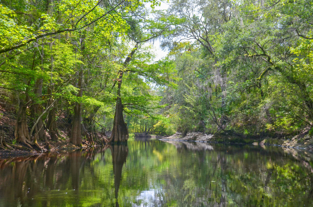 Leaving Olustee Creek