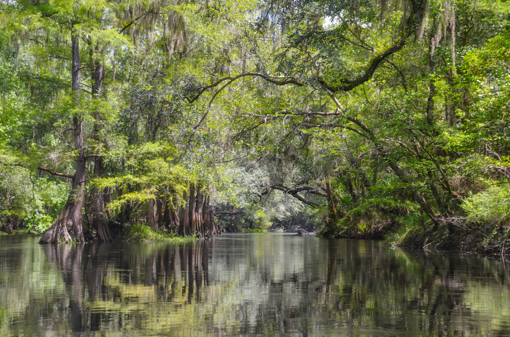 Santa Fe River