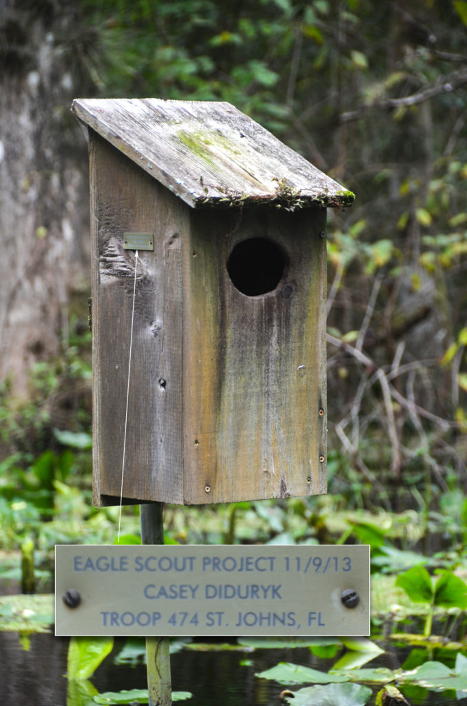 Casey Diduryk - Wood Duck House Project