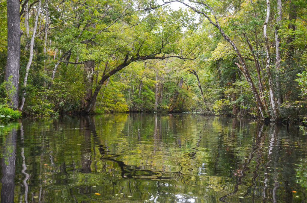 Durbin Creek Overhang