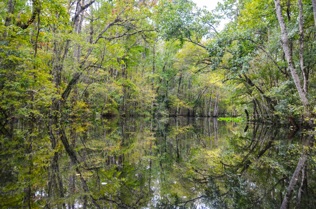 Durbin Creek Reflection