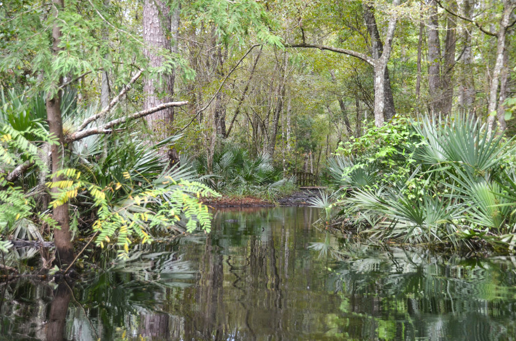 Hiking Trail at old Russell Sampson Road