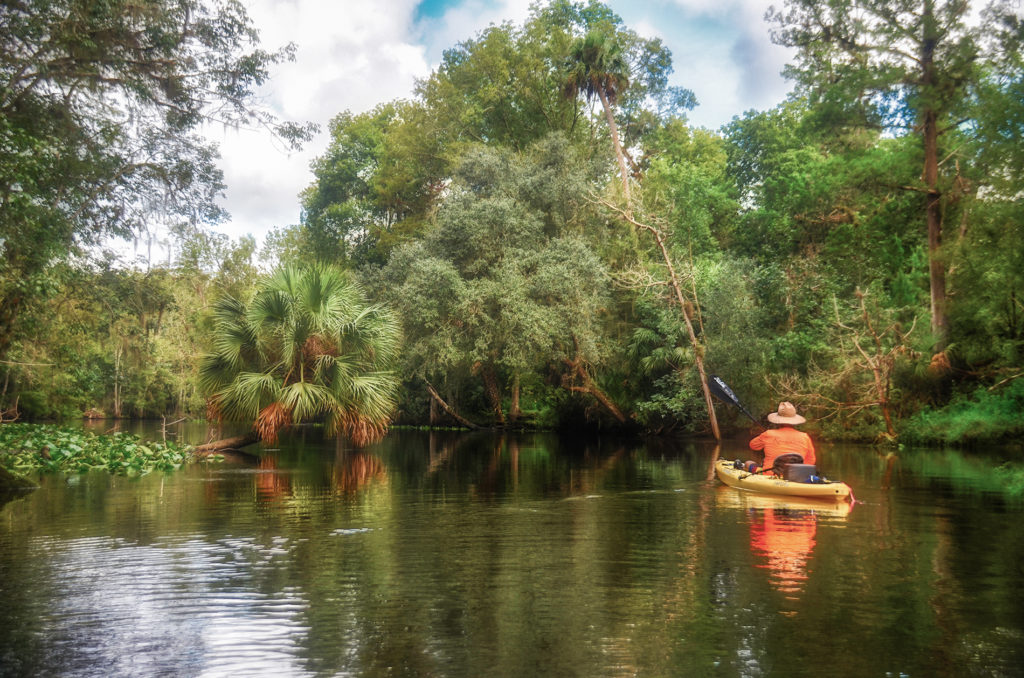 On the way - Ocklawaha River