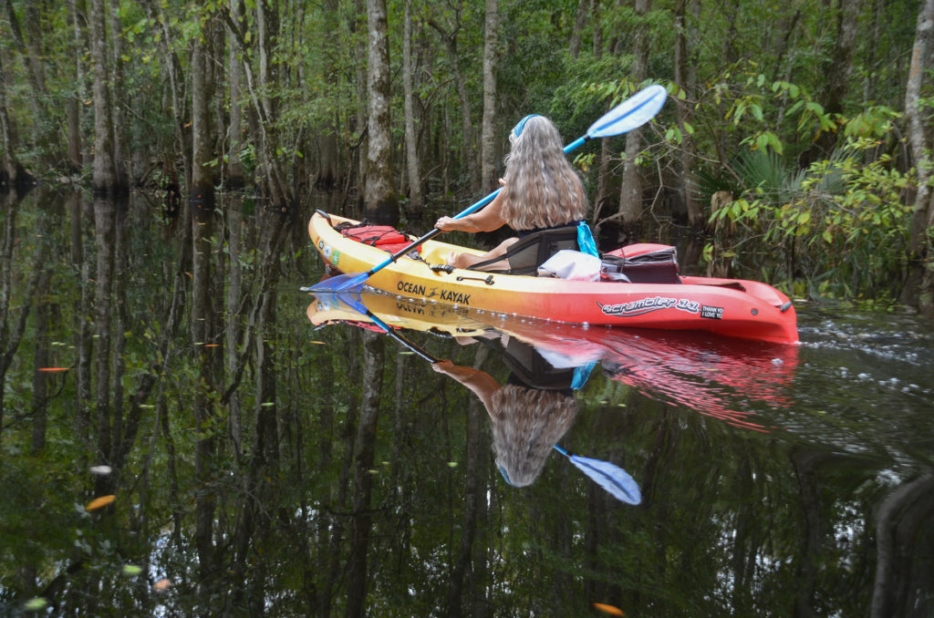 Reflecting on Durbin Creek