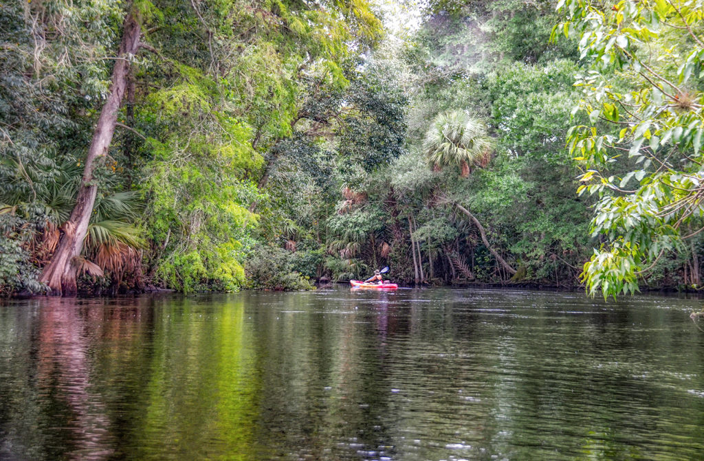 The Ocklawaha River