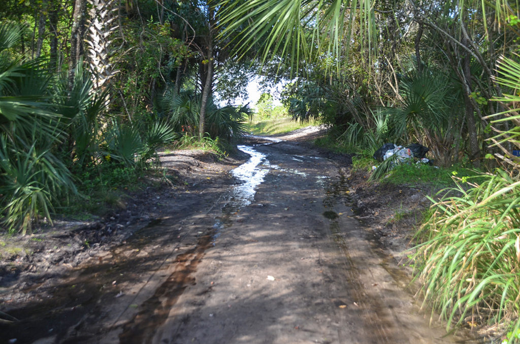 Approach to the creek