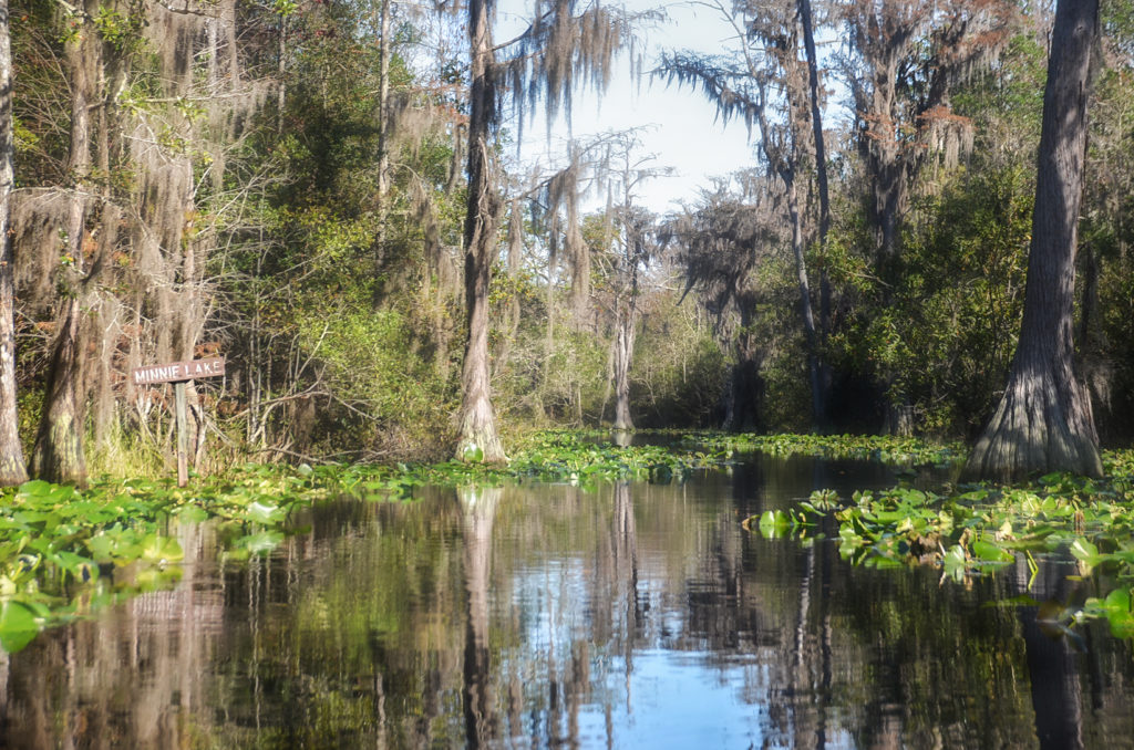 Enter Minnie's Lake